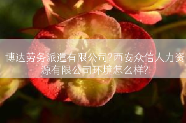 博达劳务派遣有限公司?西安众信人力资源有限公司环境怎么样?