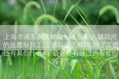 上海市浦东新区邮编？浦东新区 镇政府的派遣制员工,工资待遇怎样啊,除了工资还有其他什么吗?最好能有做过的帮忙回答下？