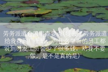 劳务派遣合同审查要点(我去了劳务派遣给我找到厂上班，为什么里面的员工都说到时发工资会少了很多钱，劝我不要做，是不是真的是)