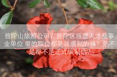 普陀山旅游公司？普陀区派遣人才及事业单位 里的职位都是派遣制的嘛？是不是都不是正式编制的？