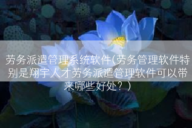 劳务派遣管理系统软件(劳务管理软件特别是翔宇人才劳务派遣管理软件可以带来哪些好处？)