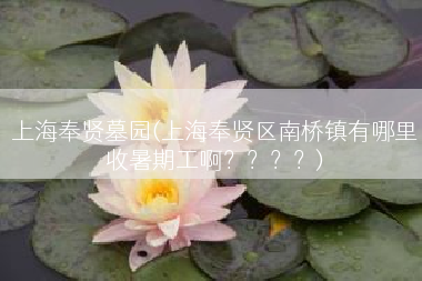 上海奉贤墓园(上海奉贤区南桥镇有哪里收暑期工啊？？？？)