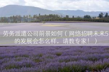 劳务派遣公司前景如何（网络招聘未来5的发展会怎么样，请教专家！）