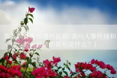 劳务和劳务派遣的区别(请问人事代理和劳务派遣的区别是什么？)