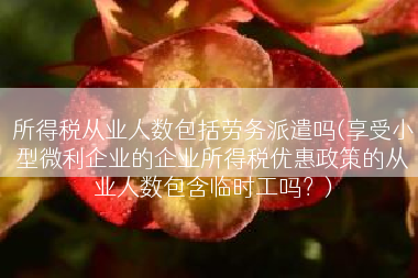所得税从业人数包括劳务派遣吗(享受小型微利企业的企业所得税优惠政策的从业人数包含临时工吗？)