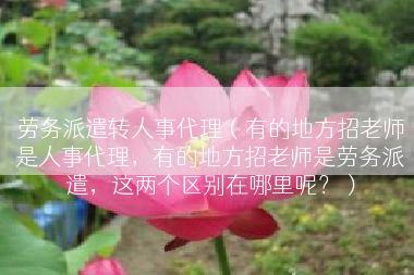劳务派遣转人事代理（有的地方招老师是人事代理，有的地方招老师是劳务派遣，这两个区别在哪里呢？）