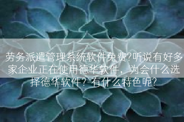 劳务派遣管理系统软件免费?听说有好多家企业正在使用德华软件，为会什么选择德华软件？有什么特色呢?