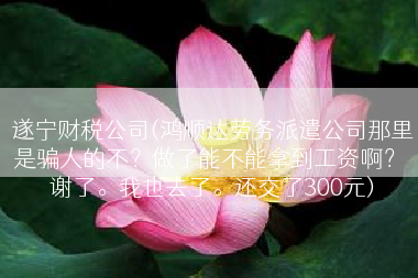 遂宁财税公司(鸿顺达劳务派遣公司那里是骗人的不？做了能不能拿到工资啊？ 谢了。我也去了。还交了300元)