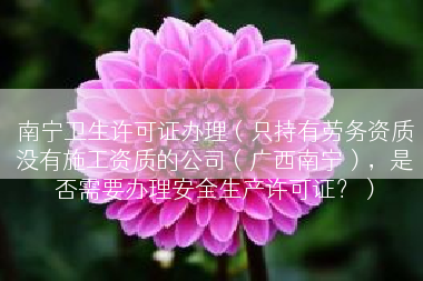 南宁卫生许可证办理（只持有劳务资质没有施工资质的公司（广西南宁），是否需要办理安全生产许可证？）
