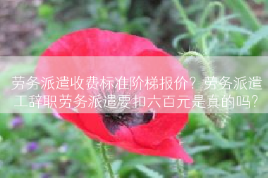 劳务派遣收费标准阶梯报价？劳务派遣工辞职劳务派遣要扣六百元是真的吗？