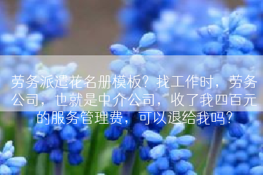 劳务派遣花名册模板？找工作时，劳务公司，也就是中介公司，收了我四百元的服务管理费，可以退给我吗？