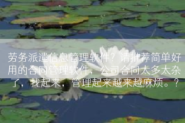 劳务派遣信息管理软件？请推荐简单好用的合同管理软件，公司合同太多太杂了，找起来，管理起来越来越麻烦。？