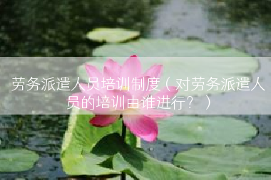 劳务派遣人员培训制度（对劳务派遣人员的培训由谁进行？）