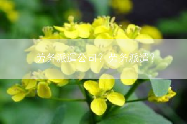 劳务派遣公司？劳务派遣？