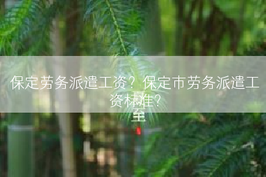 保定劳务派遣工资？保定市劳务派遣工资标准？