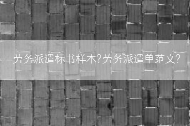劳务派遣标书样本?劳务派遣单范文?