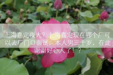 上海嘉定夜大？上海嘉定现在哪个厂可以去厂门口面试，本人男三十岁，在此谢谢好心人了！？