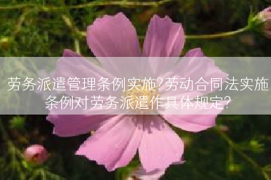 劳务派遣管理条例实施?劳动合同法实施条例对劳务派遣作具体规定?