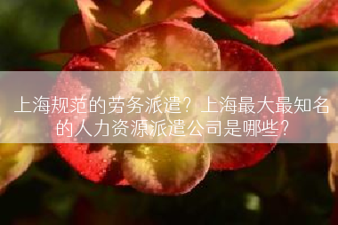 上海规范的劳务派遣？上海最大最知名的人力资源派遣公司是哪些？