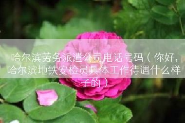 哈尔滨劳务派遣公司电话号码（你好，哈尔滨地铁安检员具体工作待遇什么样子的）