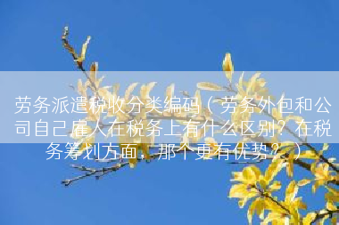 劳务派遣税收分类编码（劳务外包和公司自己雇人在税务上有什么区别？在税务筹划方面，那个更有优势？）