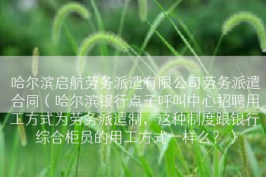 哈尔滨启航劳务派遣有限公司劳务派遣合同（哈尔滨银行点子呼叫中心招聘用工方式为劳务派遣制，这种制度跟银行综合柜员的用工方式一样么？）
