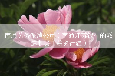 南通劳务派遣公司（南通江苏银行的派遣制员工薪资待遇）