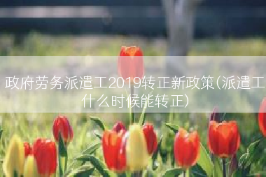 政府劳务派遣工2019转正新政策(派遣工什么时候能转正)