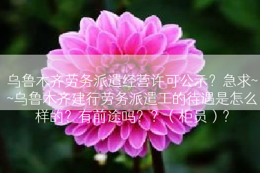 乌鲁木齐劳务派遣经营许可公示？急求~~乌鲁木齐建行劳务派遣工的待遇是怎么样的？有前途吗？？（柜员）？
