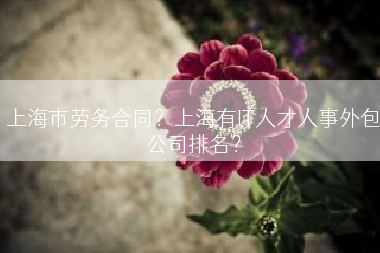 上海市劳务合同？上海有IT人才人事外包公司排名？