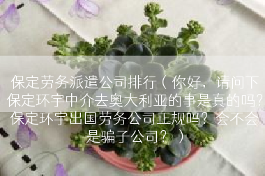 保定劳务派遣公司排行（你好，请问下保定环宇中介去奥大利亚的事是真的吗？保定环宇出国劳务公司正规吗？会不会是骗子公司？）
