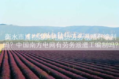 衡水市博物馆的讲解员劳务派遣有编制吗？中国南方电网有劳务派遣工编制吗？