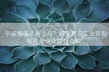 宁波慈溪劳务公司？慈溪慈东工业区有哪些公司比较好点的？