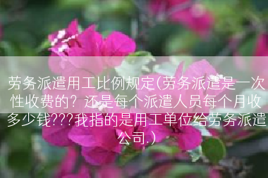劳务派遣用工比例规定(劳务派遣是一次性收费的？还是每个派遣人员每个月收多少钱???我指的是用工单位给劳务派遣公司.)