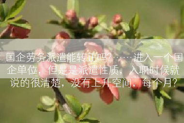 国企劳务派遣能转正吗?……进入一个国企单位，但是是派遣性质，入职时候就说的很清楚，没有上升空间，每个月?