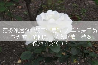 劳务派遣企业规章制度?用人单位关于员工管理方面的问题（劳务派遣、档案、保密协议等）?