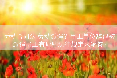 劳动合同法 劳动派遣？用工单位辞退被派遣员工有哪些法律规定求解答？