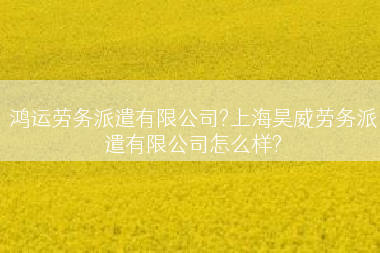 鸿运劳务派遣有限公司?上海昊威劳务派遣有限公司怎么样?