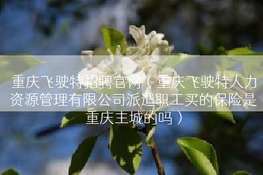 重庆飞驶特招聘官网（重庆飞驶特人力资源管理有限公司派遣职工买的保险是重庆主城的吗）