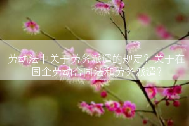 劳动法中关于劳务派遣的规定？关于在国企劳动合同法和劳务派遣？
