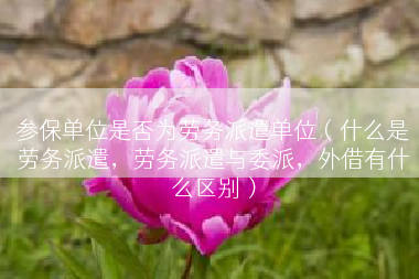 参保单位是否为劳务派遣单位（什么是劳务派遣，劳务派遣与委派，外借有什么区别）