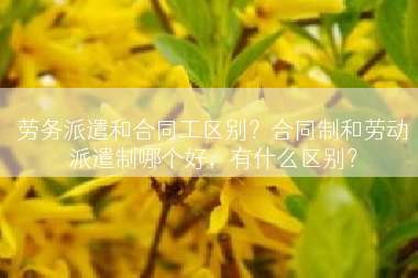 劳务派遣和合同工区别？合同制和劳动派遣制哪个好，有什么区别？