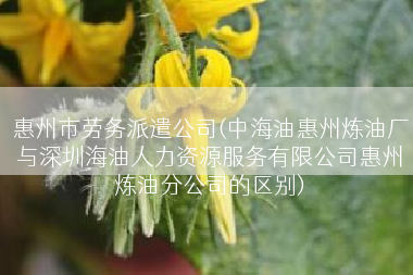 惠州市劳务派遣公司(中海油惠州炼油厂与深圳海油人力资源服务有限公司惠州炼油分公司的区别)