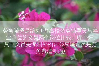 劳务派遣是编外吗(高校公寓辅导员与事业单位的文员两个岗位比较，哪个好，其中文员是编制外的，公寓辅导员是劳务派遣制的)
