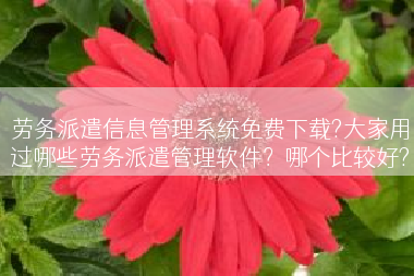 劳务派遣信息管理系统免费下载?大家用过哪些劳务派遣管理软件？哪个比较好?