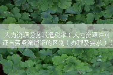 人力资源劳务派遣税率（人力资源许可证与劳务派遣证的区别（办理及要求））