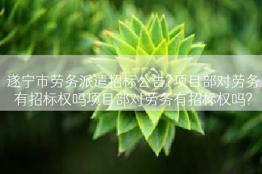 遂宁市劳务派遣招标公告?项目部对劳务有招标权吗项目部对劳务有招标权吗?