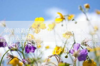 华润前海中心宣传片（我是安徽人、二年前去无锡上班、一家劳务派遣公司把我安排到无锡华润华晶微电子有限公司、上了有八九个月）
