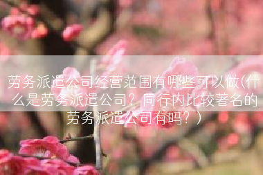 劳务派遣公司经营范围有哪些可以做(什么是劳务派遣公司？同行内比较著名的劳务派遣公司有吗？)