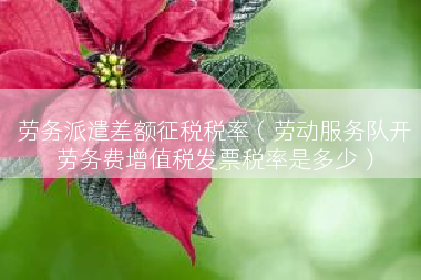 劳务派遣差额征税税率（劳动服务队开劳务费增值税发票税率是多少）